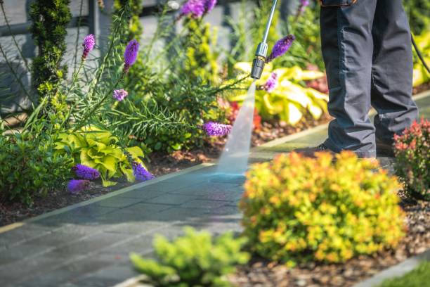 Best Deck and Patio Pressure Washing in Red Wing, MN